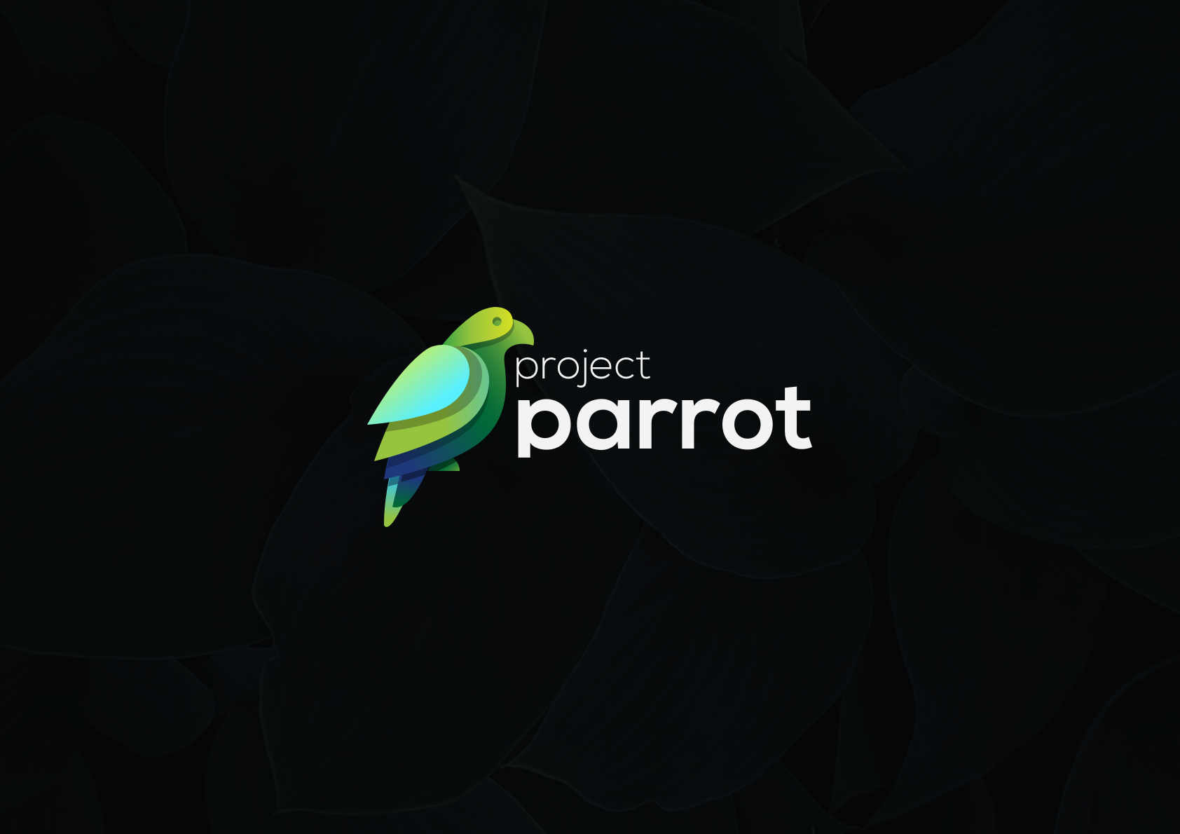 Project Parrot - Contextual translation engine dashboard interface